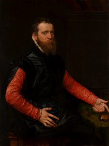 Anthonis Mor van Dashorst - Portrait of Steven van Herwijck (c.1530-1565-67) - 117 - Mauritshuis