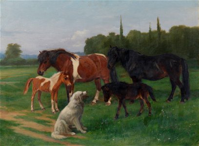 Anthony de Bree (1855-1921) - A Collie and Four Ponies - RCIN 403572 - Royal Collection