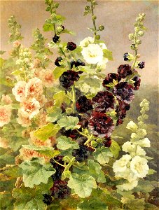 Anthonore Christensen - Hollyhocks, 1894
