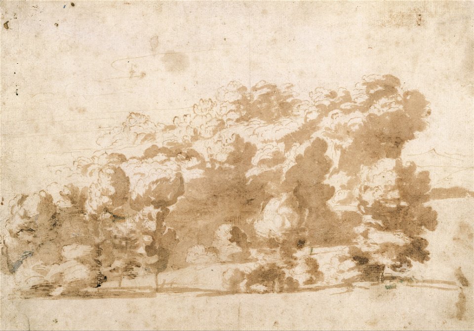 Anthony VAN Dyck - A wooded ridge - Google Art Project