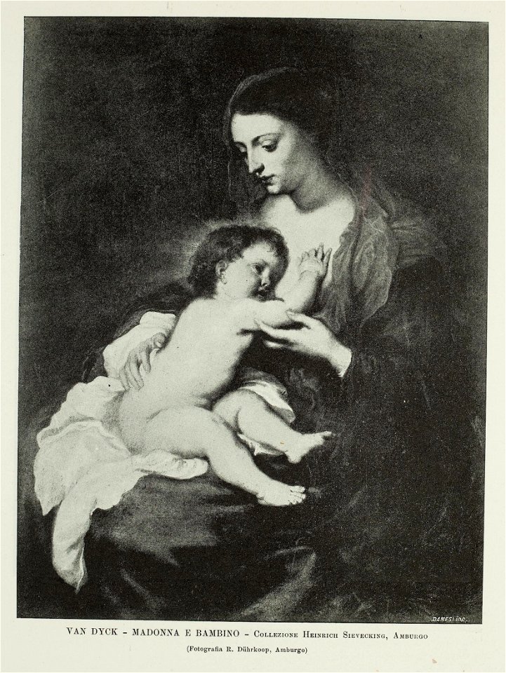 Anthony van Dyck - Madonna - archivio storico arte1897 0415