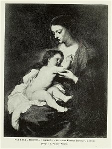 Anthony van Dyck - Madonna - archivio storico arte1897 0415