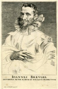Anthony van Dyck - Portrait of Jan Brueghel the Elder. Free illustration for personal and commercial use.