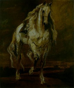 Anthony van Dyck - Study of a Horse