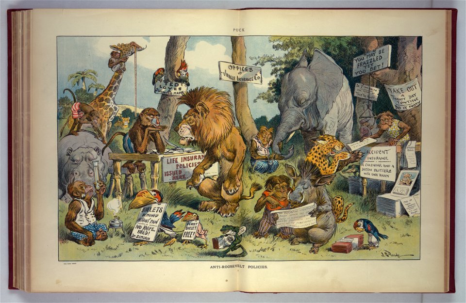 Anti-Roosevelt policies - J.S. Pughe. LCCN2011647382