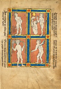 Antipode; Scinopode; Coastal Ethiopian; Psalmlarus - Google Art Project