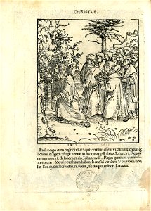 Antithesis figurata vitae Christi et Antichristi (Passional Christi and Antichristi) (BM 1851,0802.2.1-26 10)