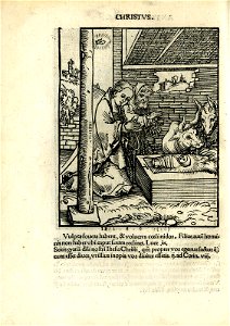 Antithesis figurata vitae Christi et Antichristi (Passional Christi and Antichristi) (BM 1851,0802.2.1-26 14)