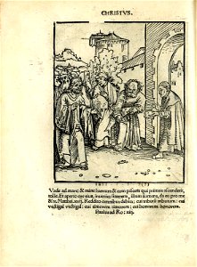 Antithesis figurata vitae Christi et Antichristi (Passional Christi and Antichristi) (BM 1851,0802.2.1-26 13)