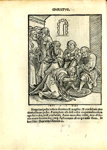 Antithesis figurata vitae Christi et Antichristi (Passional Christi and Antichristi) (BM 1851,0802.2.1-26 20)