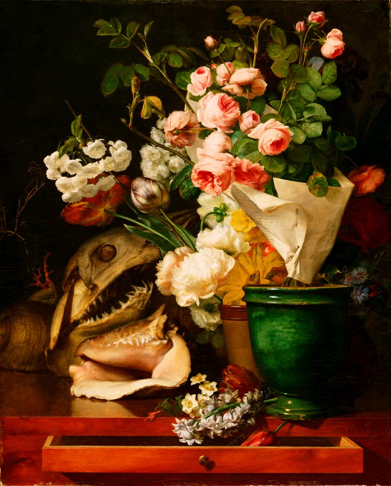 Antoine Berjon, French - Still Life with Flowers, Shells, a Shark's Head, and Petrifications - Google Art Project
