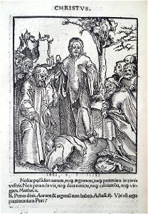 Antithesis figurata vitae Christi et Antichristi (Passional Christi and Antichristi) (BM 1851,0802.2.1-26 38)