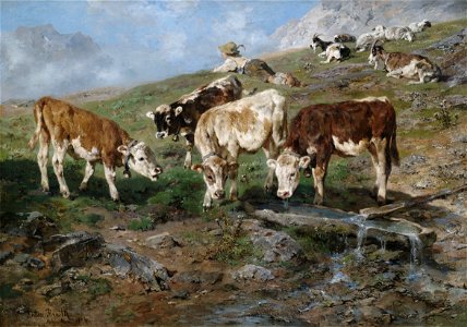 Anton Braith Jungvieh am Klausenpass