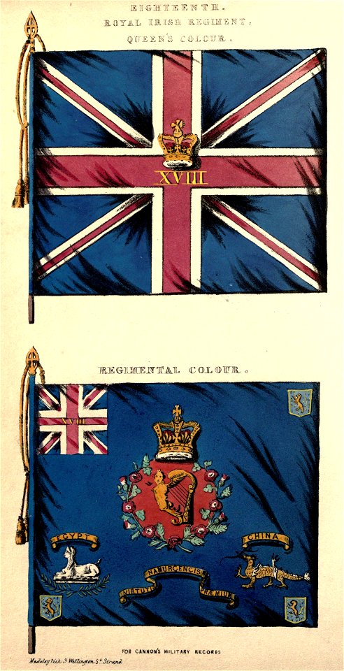 18th Foot colours