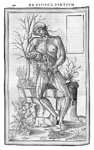 190 Charles Estienne 1545