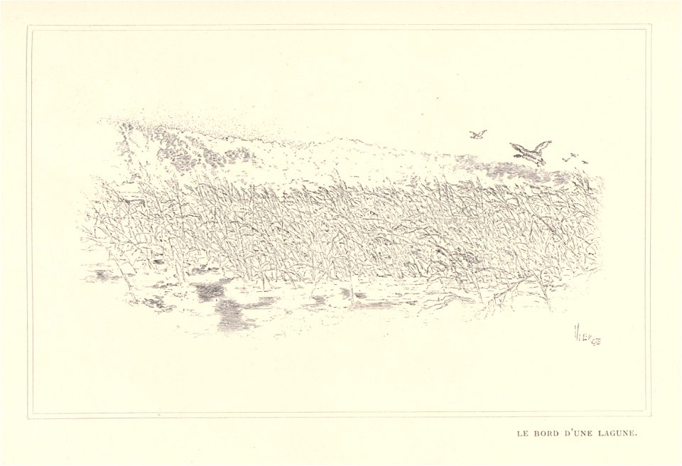1901, Au pays de Don Quichotte, Le bord d'une lagune, Vierge