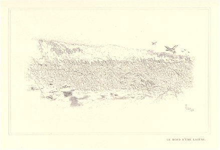 1901, Au pays de Don Quichotte, Le bord d'une lagune, Vierge