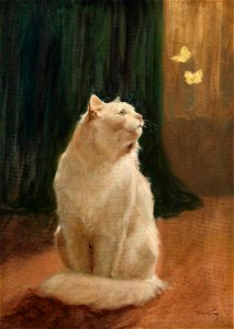 Arthur Heyer Weiße Katze und zwei Zitronenfalter