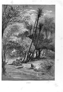 Arthur Mangin - Histoire des jardins anciens et modernes - 1887 - 003