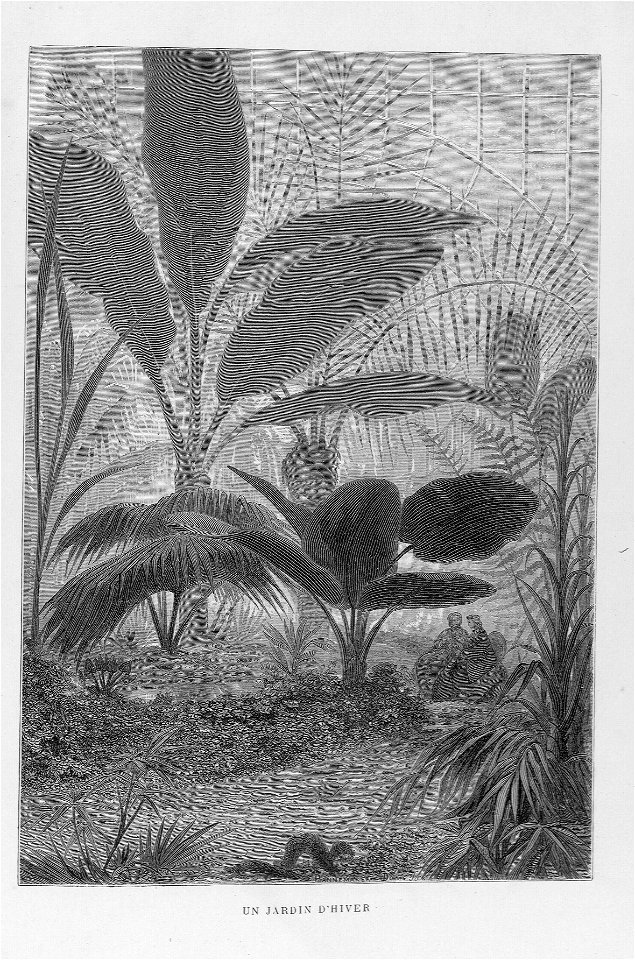 Arthur Mangin - Histoire des jardins anciens et modernes - 1887 - 076