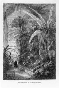 Arthur Mangin - Histoire des jardins anciens et modernes - 1887 - 075