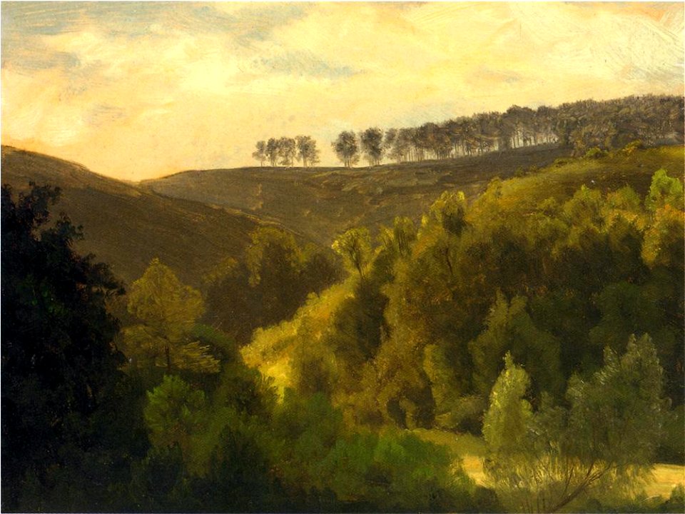 Bierstadt Albert Sunrise over Forest and Grove