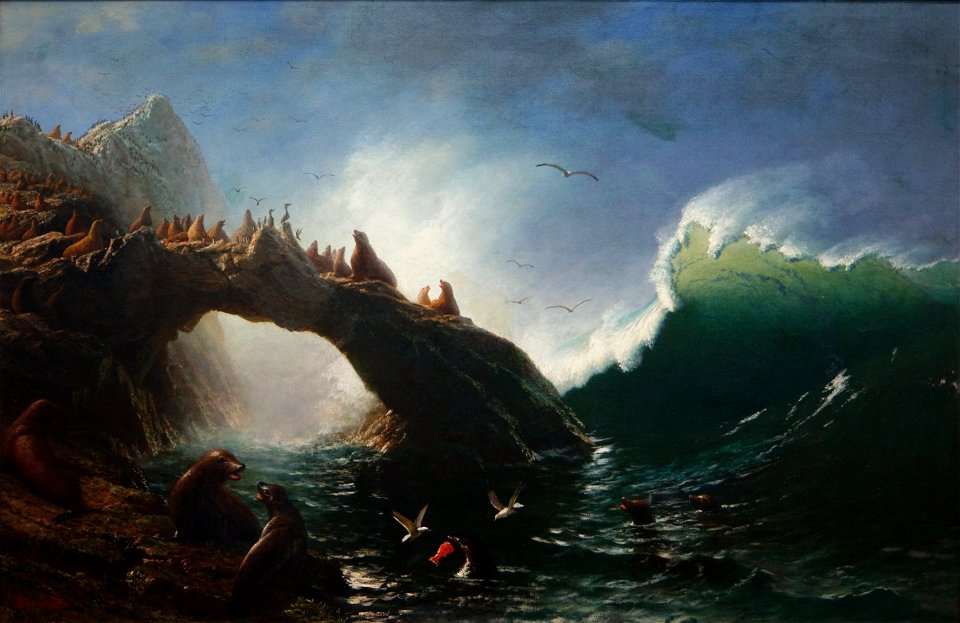WLA cma Farallon Island 1887