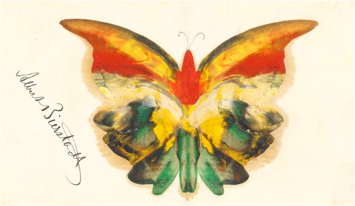 Yellow Butterfly by Albert Bierstadt