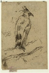 Black eagle LCCN2003687616
