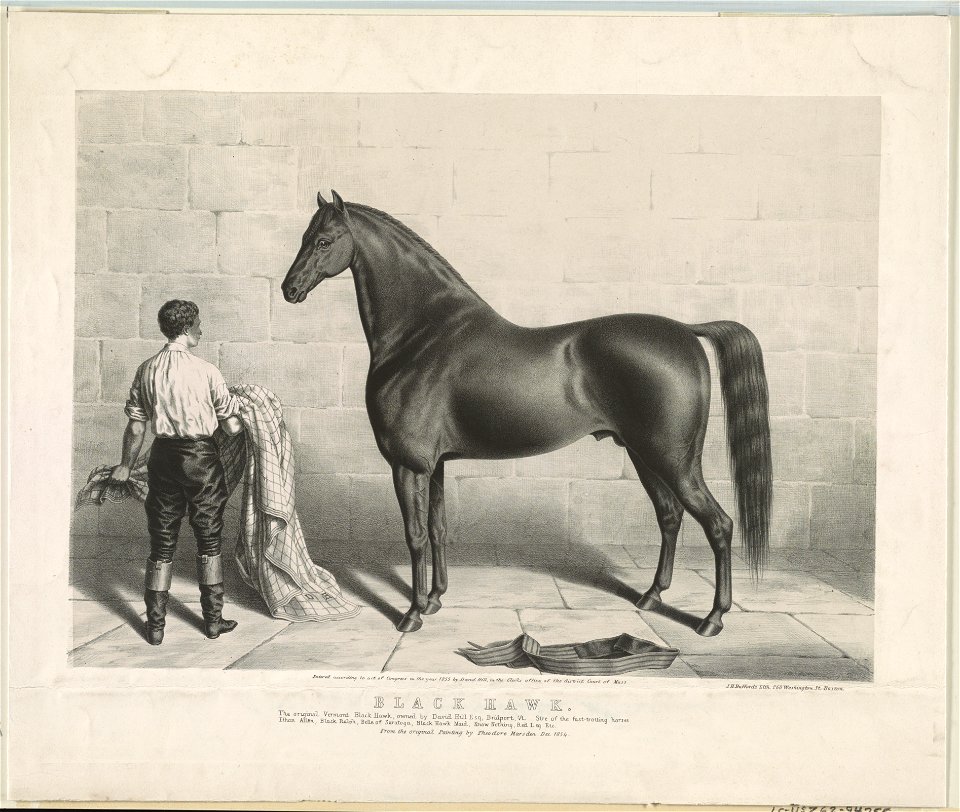 Black Hawk - from the original painting by Theodore Marsden ; J.H. Bufford's lith. LCCN92510104