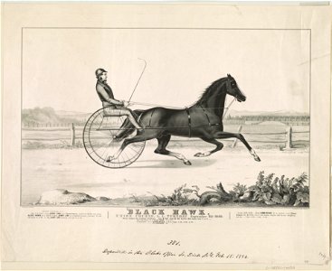 Black Hawk- Union course, L.I. Tuesday September 25th 1849 - lith & pub. by N. Currier. LCCN90711935