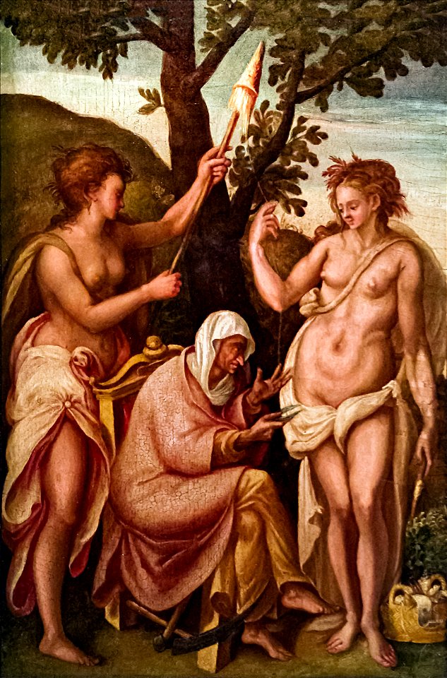 Ca' Rezzonico - Le tre Parche (Inv.268) - Bacchiacca