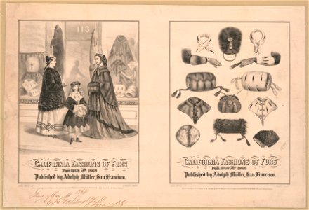 California fashions of furs for 1868 and 1869 - A. Nahl ; Nahl Bro's of S.F. ; L. Nagel print. LCCN2013645280. Free illustration for personal and commercial use.