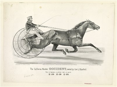 California wonder occident, owned by Gov. L. Stanford LCCN90714155