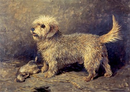 Callum - John Emms - National Galleries of Scotland