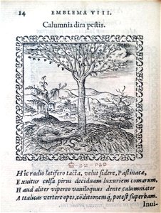 Calumnia dira pestis (BM 1972,U.11.8)