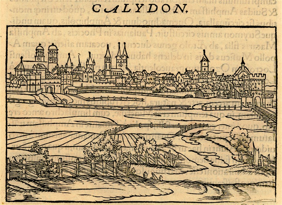 Calydon - Gerbelius Nicolas - 1545