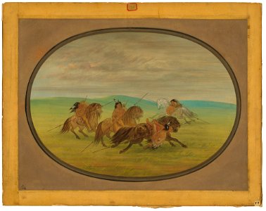 Camanchee Horsemanship C15899