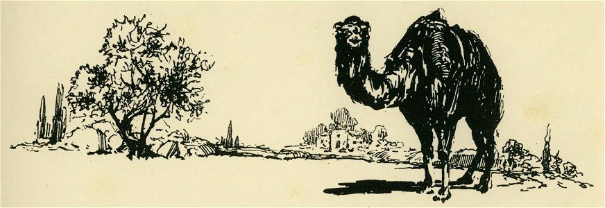 Camel in Amphissa - Perilla Francesco - 1929