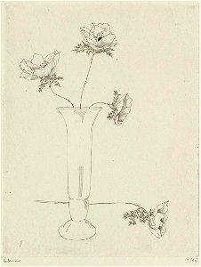 Camelias-blancs-1914