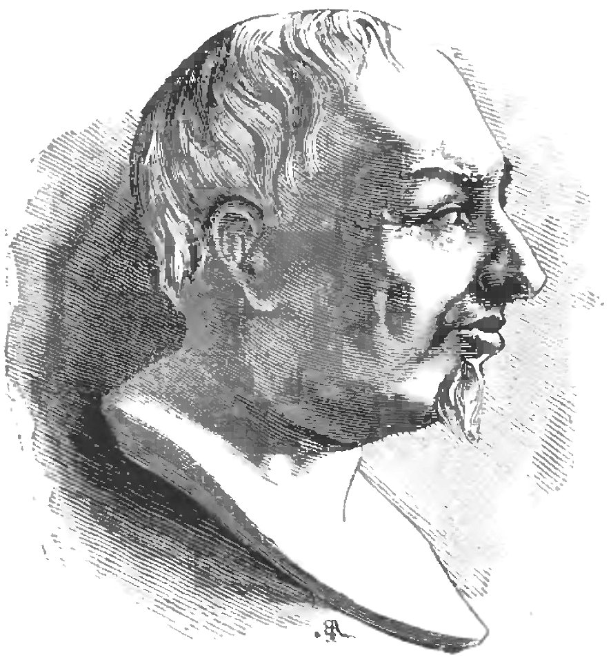 Camerini - Donne illustri, 1870 (page 8 crop)