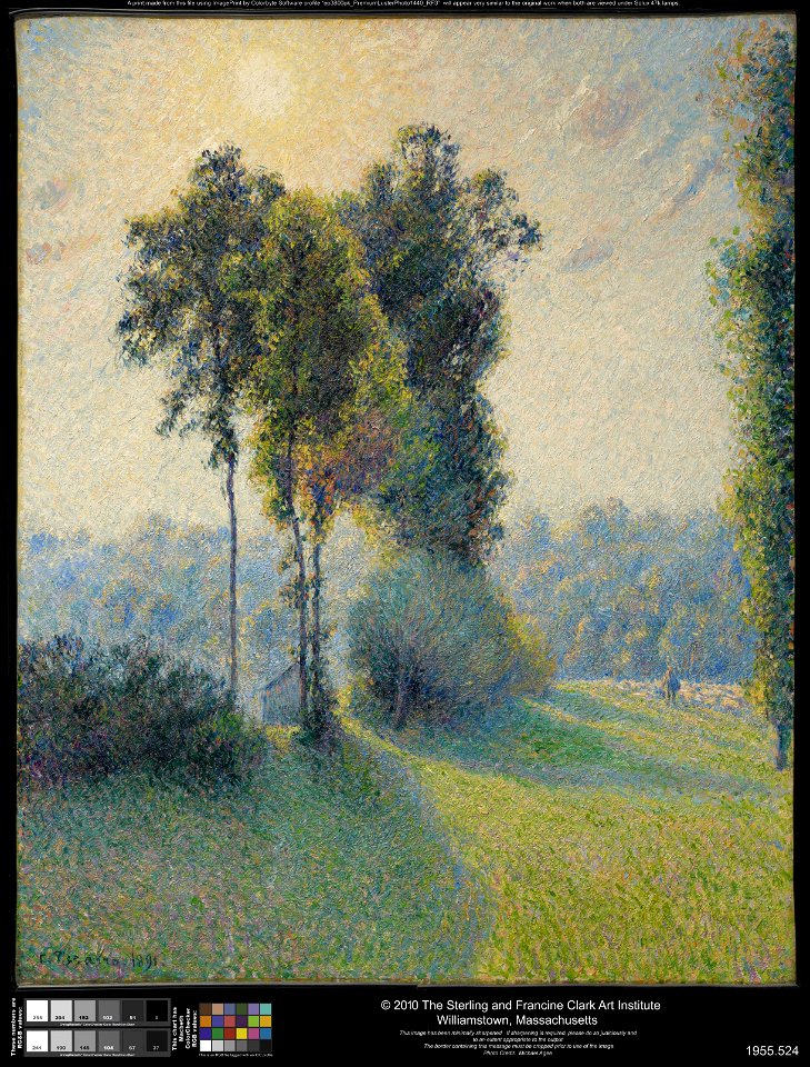 Camille Pissarro - Landscape at Saint-Charles, near Gisors, Sunset - 1955.524 - Clark Art Institute