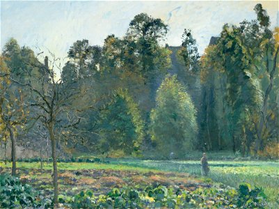 Camille Pissarro - Le champ de chou, Pontoise