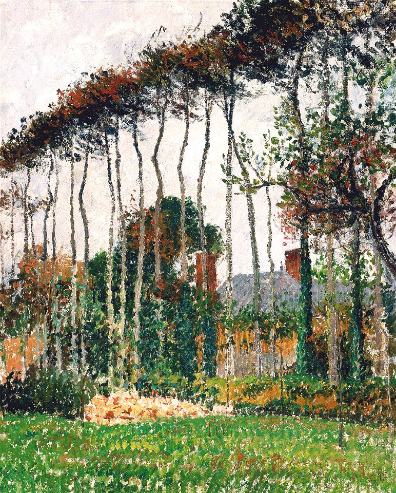 Camille Pissarro - Les grands hêtres à Varengeville