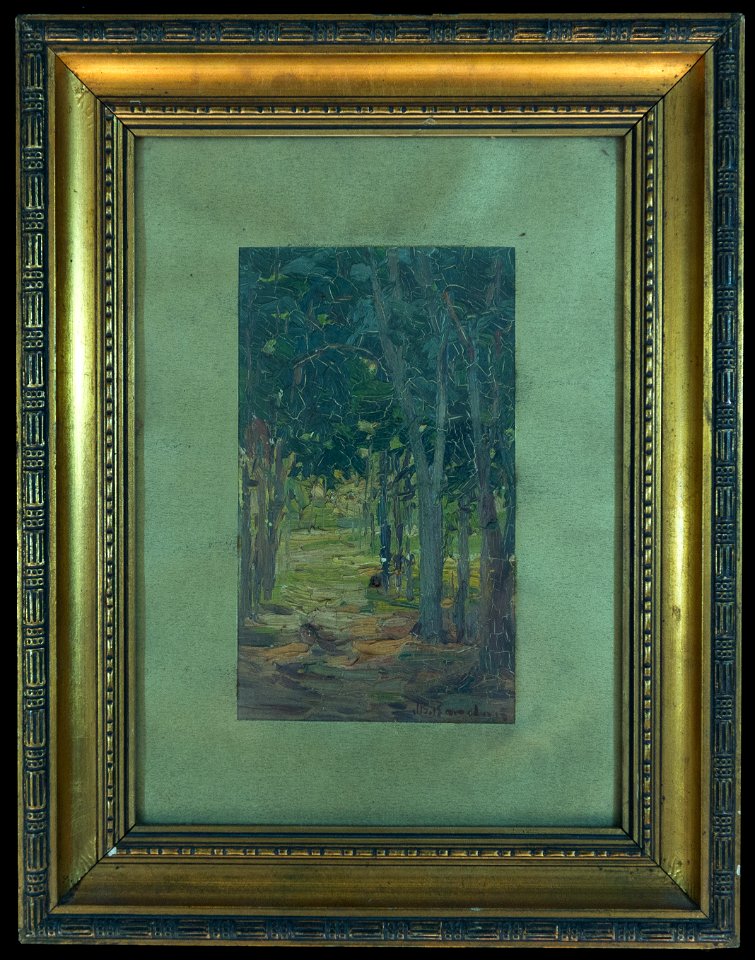 Caminho na floresta, da coleção Museu Histórico Nacional