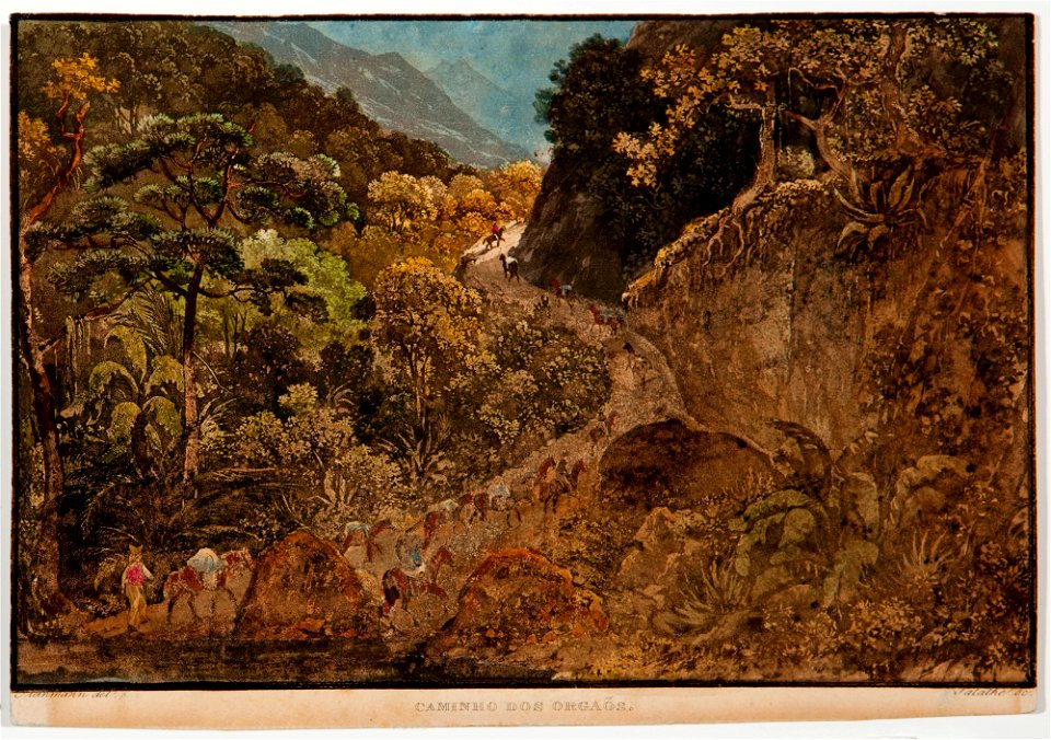 Caminho dos Orgaõs, da Coleção Brasiliana Iconográfica