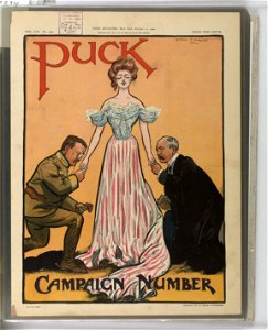 Campaign number - Frank A. Nankivell 1904. LCCN2011645575