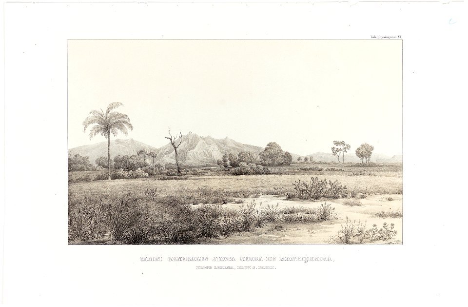 Campi Generales Juxta Serra de Mantiqueira, prope Lorena, Prov. S. Pauli, da Coleção Brasiliana Iconográfica