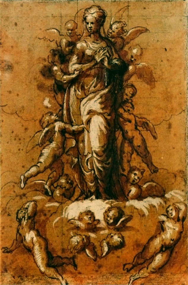 Bernardino Campi - Immaculée Conception