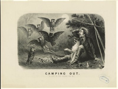 Camping out- A life in the woods for me LCCN90714156